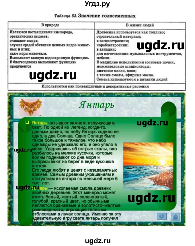 ГДЗ (Решебник 1) по биологии 7 класс Пономарева И.Н. / параграф номер / 40(продолжение 2)