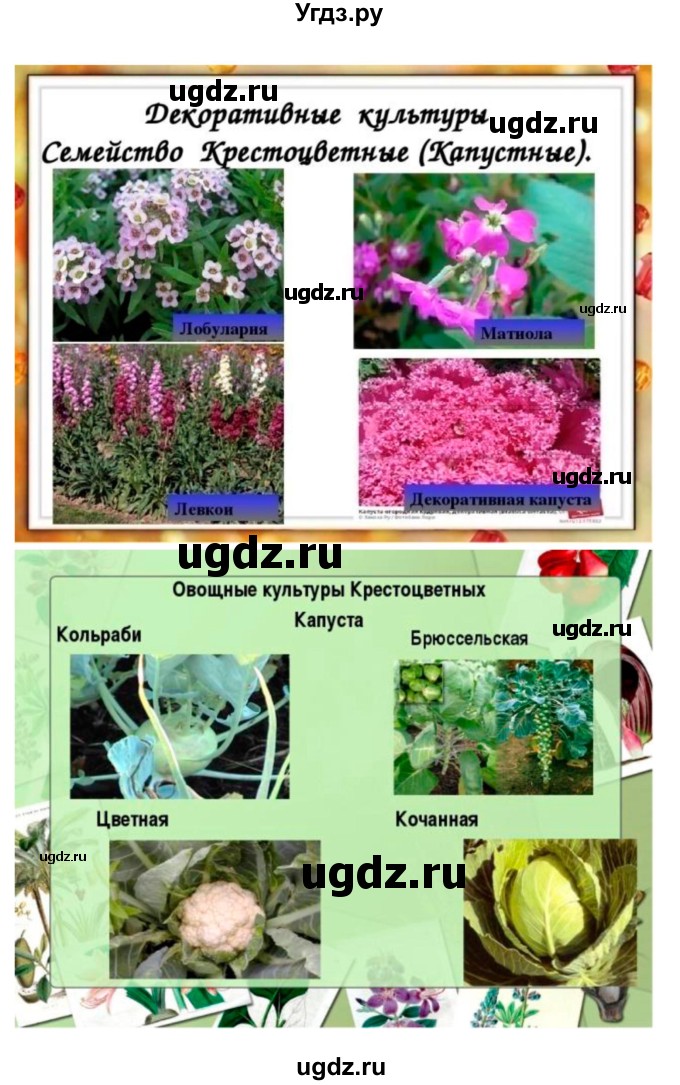 ГДЗ (Решебник 1) по биологии 7 класс Пономарева И.Н. / параграф номер / 42(продолжение 2)
