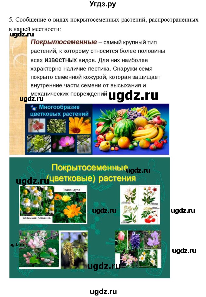 ГДЗ (Решебник 1) по биологии 7 класс Пономарева И.Н. / параграф номер / 45(продолжение 2)