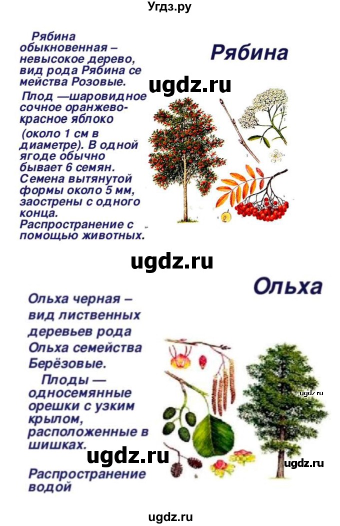 ГДЗ (Решебник 1) по биологии 7 класс Пономарева И.Н. / параграф номер / 45(продолжение 6)