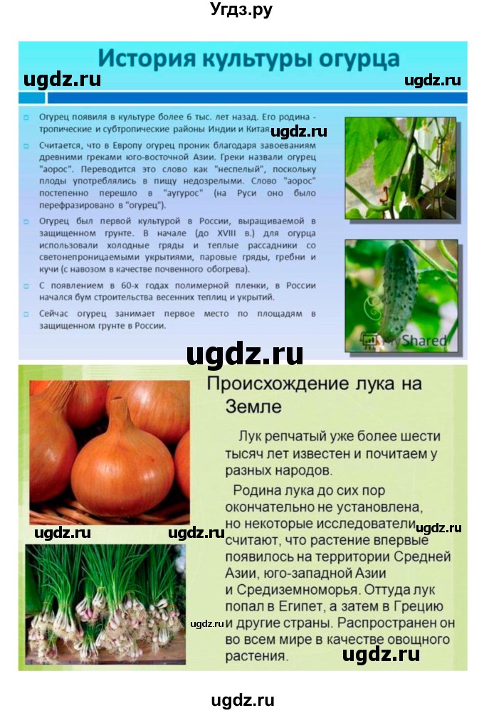 ГДЗ (Решебник 1) по биологии 7 класс Пономарева И.Н. / параграф номер / 47(продолжение 6)