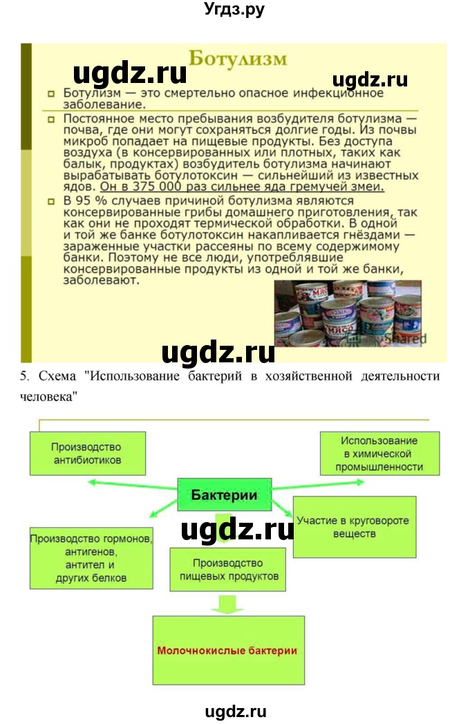 ГДЗ (Решебник 1) по биологии 7 класс Пономарева И.Н. / параграф номер / 50(продолжение 4)