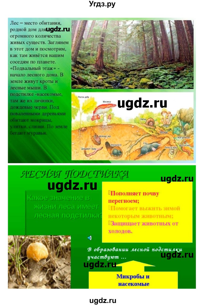 ГДЗ (Решебник 1) по биологии 7 класс Пономарева И.Н. / параграф номер / 54(продолжение 5)