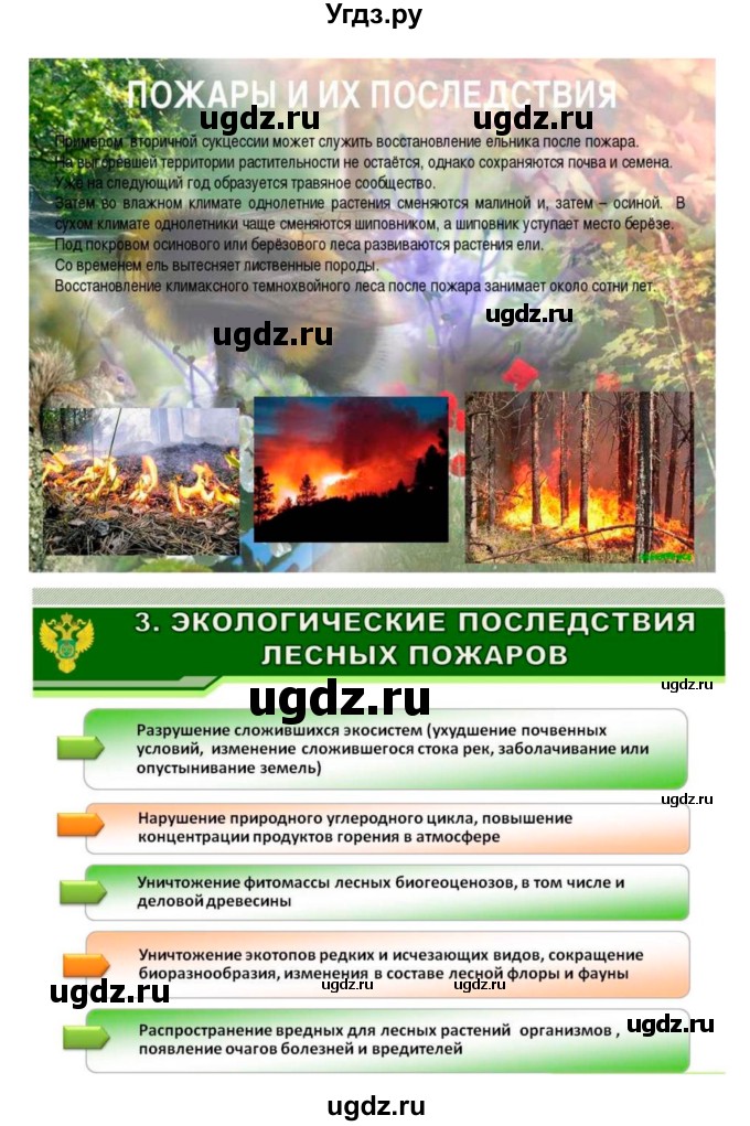 ГДЗ (Решебник 1) по биологии 7 класс Пономарева И.Н. / параграф номер / 56(продолжение 4)