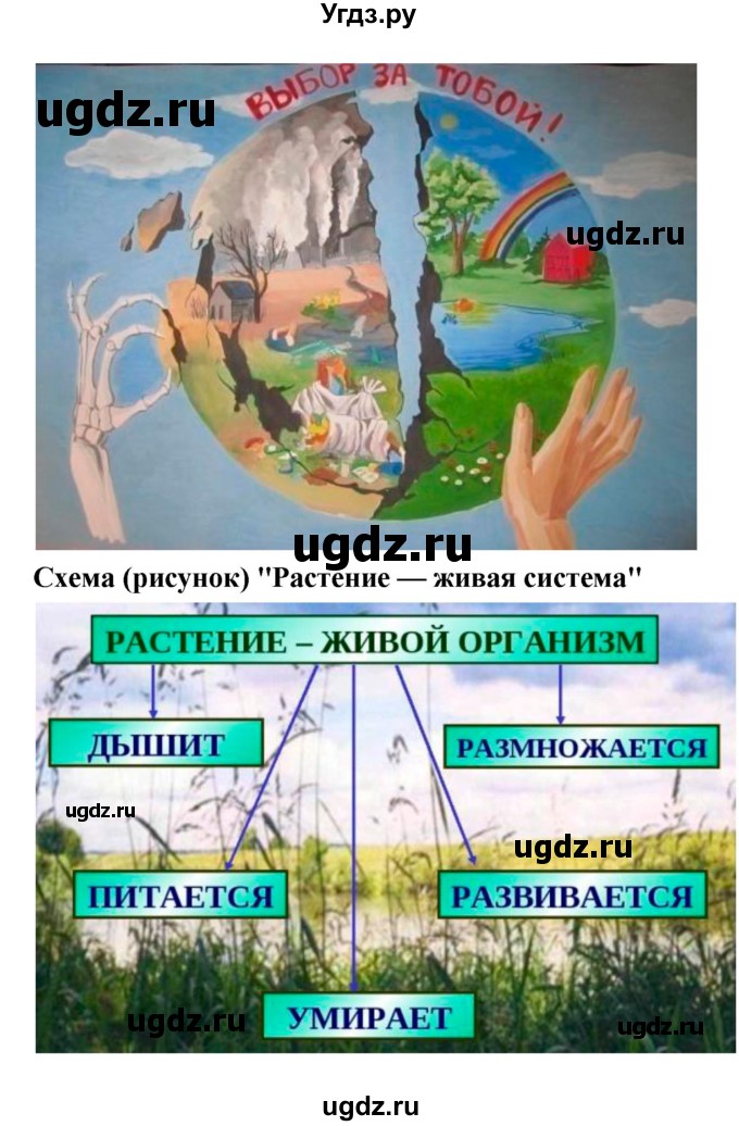 ГДЗ (Решебник 1) по биологии 7 класс Пономарева И.Н. / итог главы номер / 1(продолжение 4)