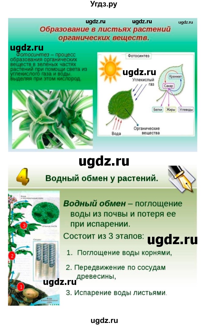 ГДЗ (Решебник 1) по биологии 7 класс Пономарева И.Н. / итог главы номер / 4(продолжение 14)