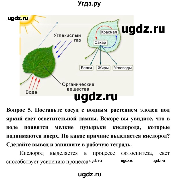 ГДЗ (Решебник 2) по биологии 7 класс Пономарева И.Н. / параграф номер / 26(продолжение 2)
