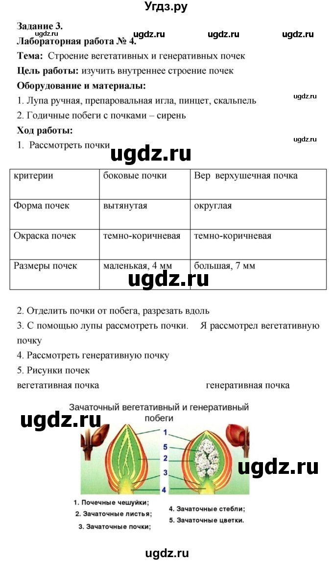 ГДЗ (Решебник) по биологии 7 класс (рабочая тетрадь) Пономарева И.Н. / параграф / 16(продолжение 2)