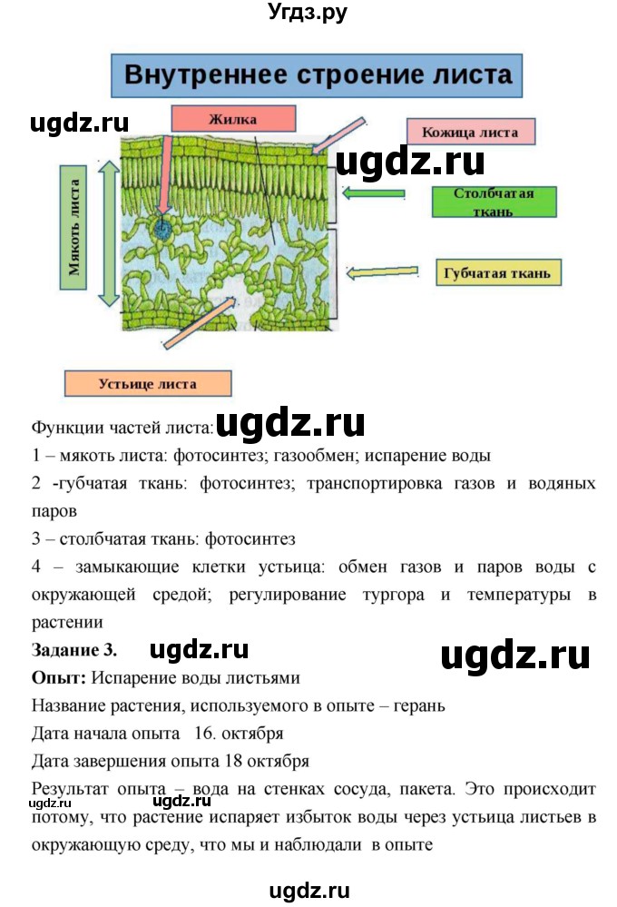 ГДЗ (Решебник) по биологии 7 класс (рабочая тетрадь) Пономарева И.Н. / параграф / 17(продолжение 2)