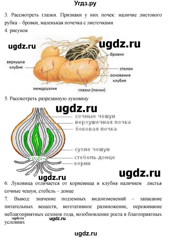 ГДЗ (Решебник) по биологии 7 класс (рабочая тетрадь) Пономарева И.Н. / параграф / 20(продолжение 2)