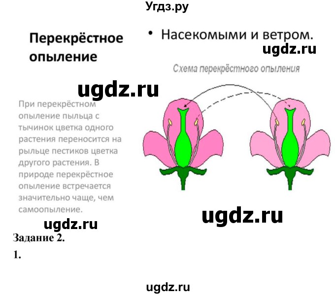 ГДЗ (Решебник) по биологии 7 класс (рабочая тетрадь) Пономарева И.Н. / параграф / 22(продолжение 2)