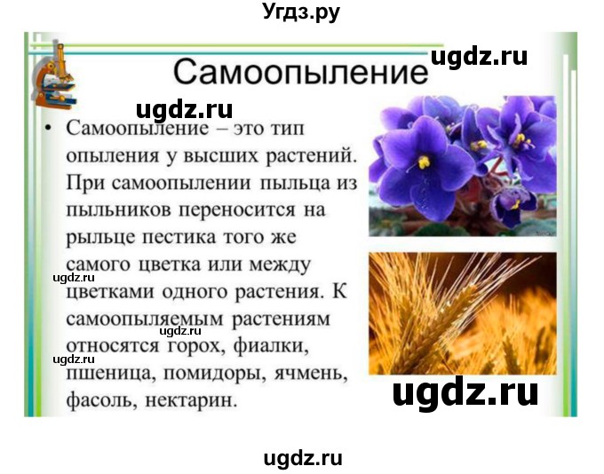 ГДЗ (Решебник) по биологии 7 класс (рабочая тетрадь) Пономарева И.Н. / параграф / 22(продолжение 12)