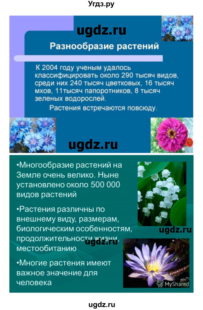 ГДЗ (Решебник) по биологии 7 класс (рабочая тетрадь) Пономарева И.Н. / параграф / 3(продолжение 3)