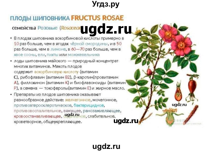 ГДЗ (Решебник) по биологии 7 класс (рабочая тетрадь) Пономарева И.Н. / параграф / 4(продолжение 3)