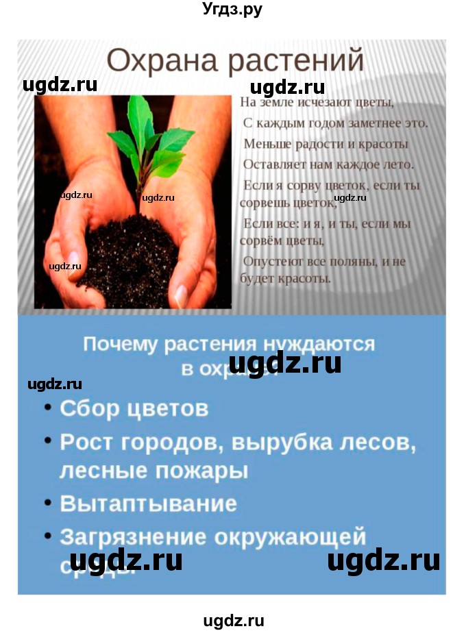 ГДЗ (Решебник) по биологии 7 класс (рабочая тетрадь) Пономарева И.Н. / параграф / 41(продолжение 4)