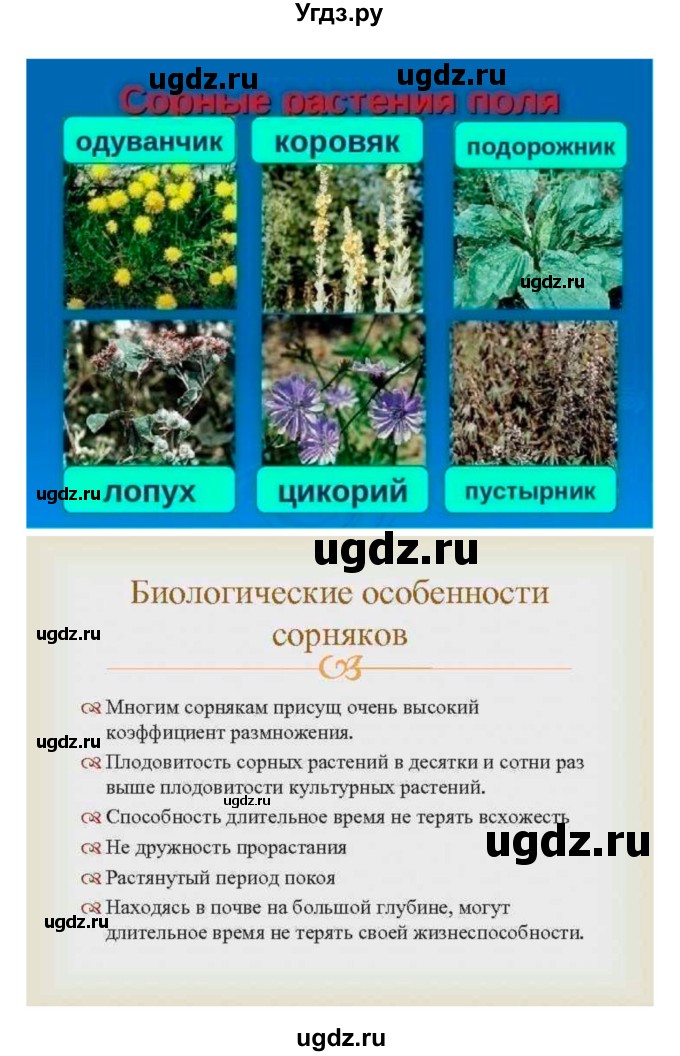 ГДЗ (Решебник) по биологии 7 класс (рабочая тетрадь) Пономарева И.Н. / параграф / 46(продолжение 3)