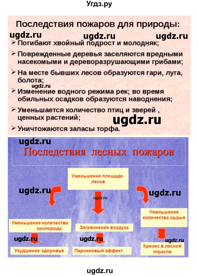 ГДЗ (Решебник) по биологии 7 класс (рабочая тетрадь) Пономарева И.Н. / параграф / 5(продолжение 3)