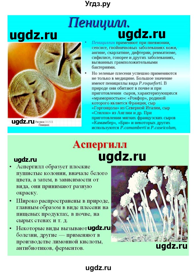 ГДЗ (Решебник) по биологии 7 класс (рабочая тетрадь) Пономарева И.Н. / параграф / 51(продолжение 4)