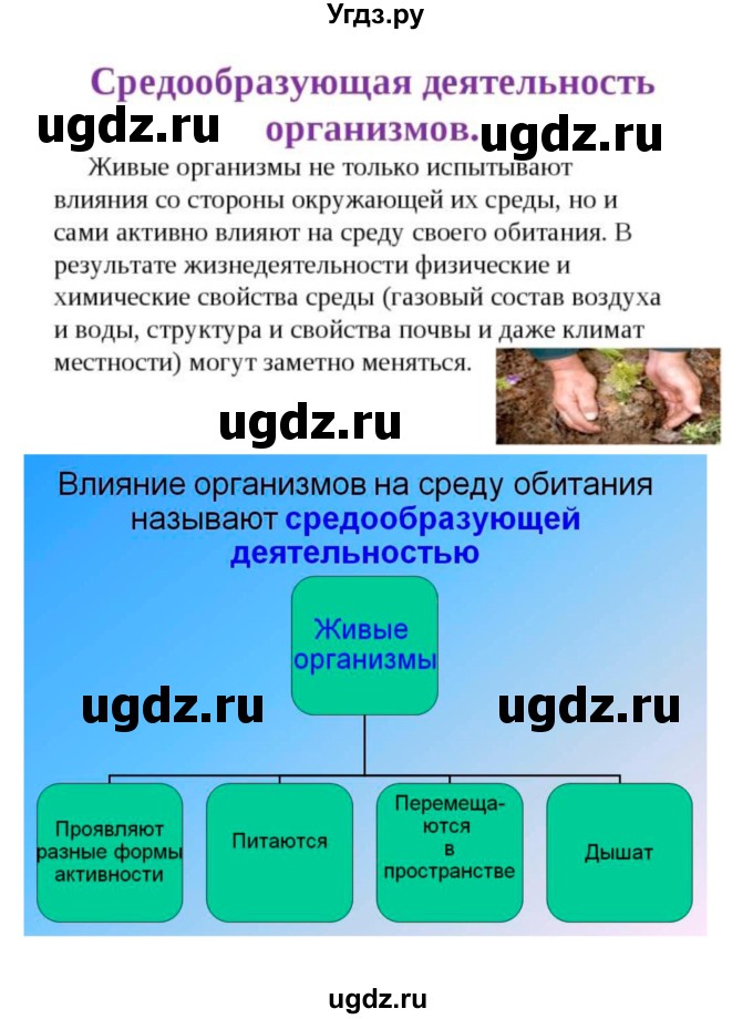 ГДЗ (Решебник) по биологии 7 класс (рабочая тетрадь) Пономарева И.Н. / параграф / 58(продолжение 2)