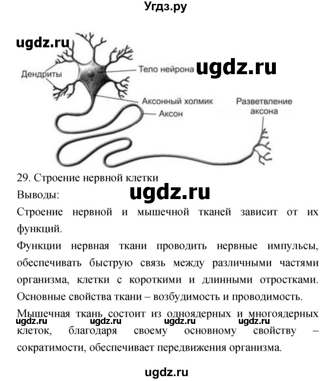 ГДЗ (Решебник) по биологии 5 класс (тетрадь-практикум) Сухорукова Л.Н. / страница номер / 27(продолжение 2)