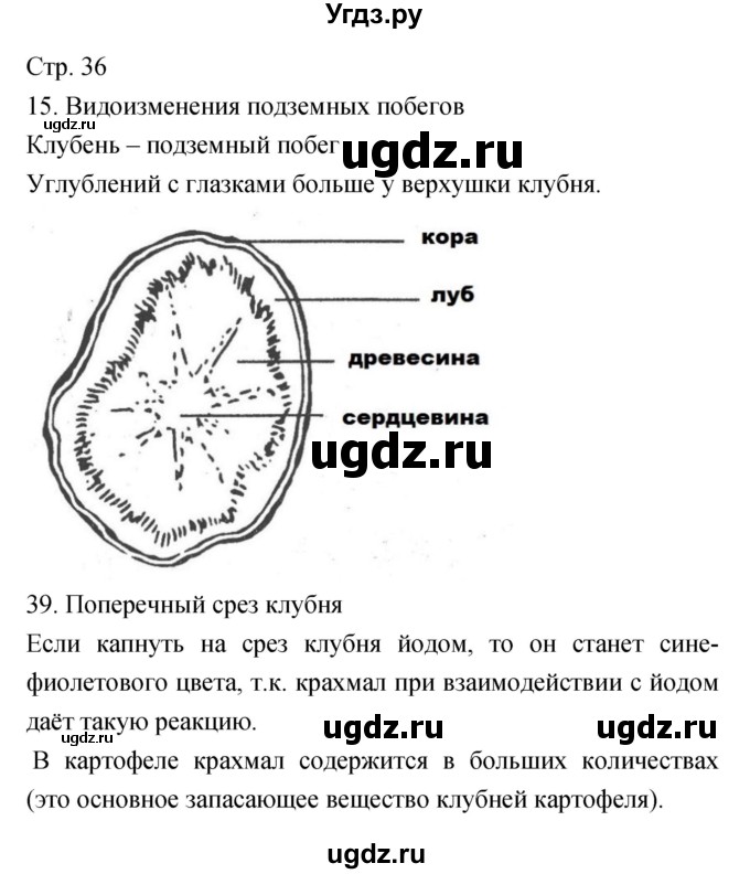 ГДЗ (Решебник) по биологии 5 класс (тетрадь-практикум) Сухорукова Л.Н. / страница номер / 36