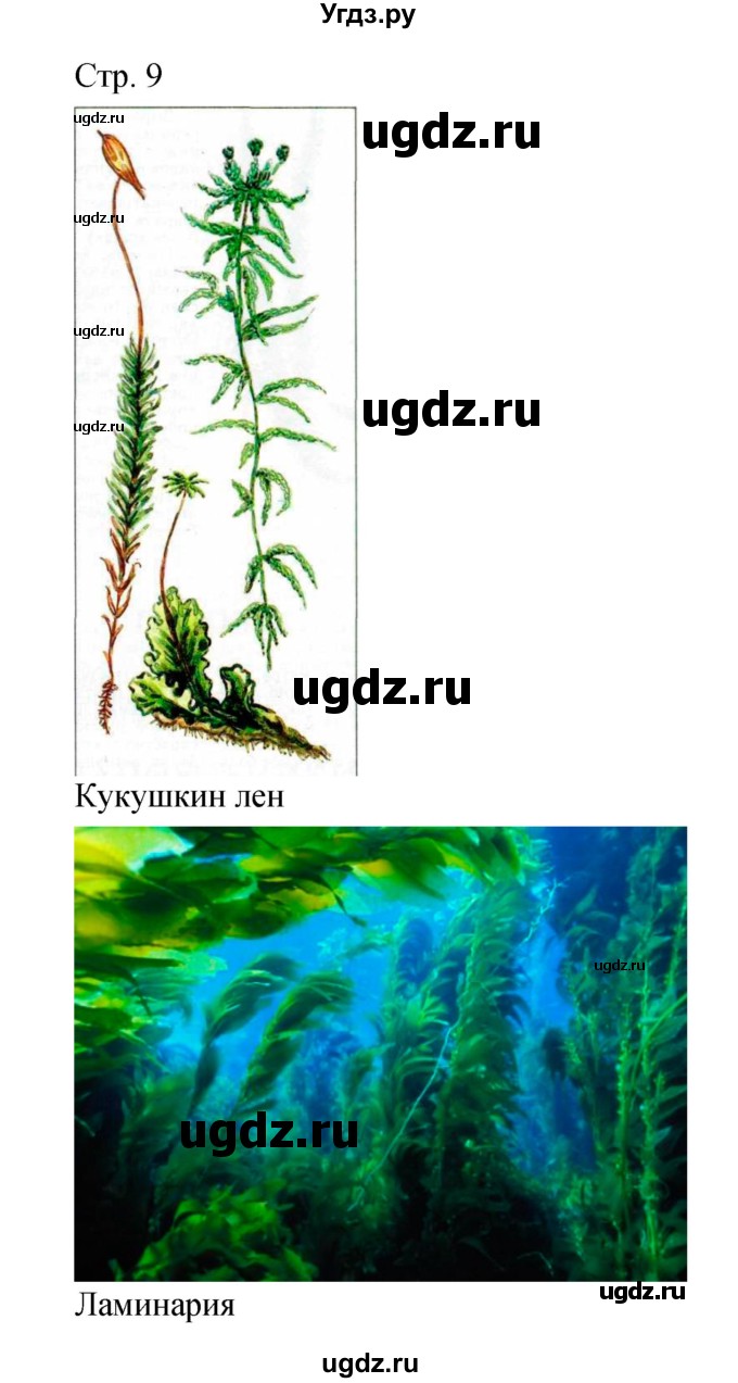 ГДЗ (Решебник) по биологии 5 класс (тетрадь-практикум) Сухорукова Л.Н. / страница номер / 9