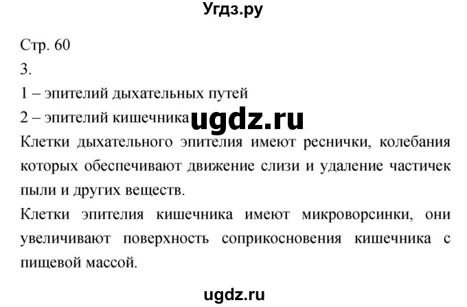 ГДЗ (Решебник) по биологии 5 класс (тетрадь-тренажёр) Сухорукова Л.Н. / часть 1. страница номер / 60