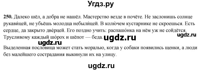 ГДЗ (Решебник 2019) по русскому языку 5 класс (рабочая тетрадь Скорая помощь) Янченко В.Д. / упражнение / 250
