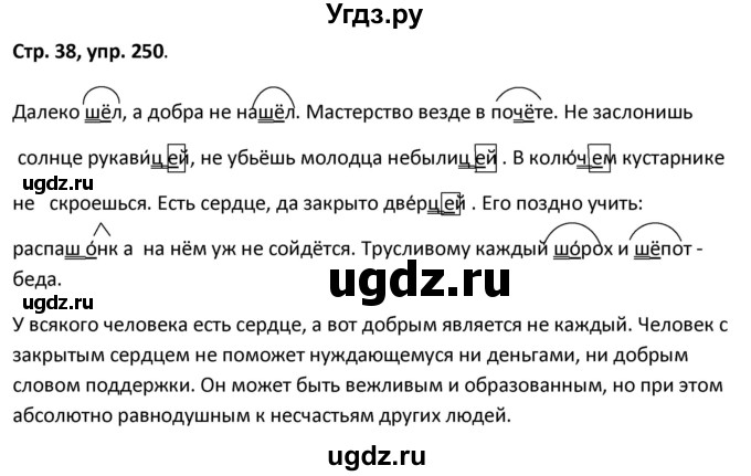 ГДЗ (Решебник 2017) по русскому языку 5 класс (рабочая тетрадь Скорая помощь) Янченко В.Д. / упражнение / 250