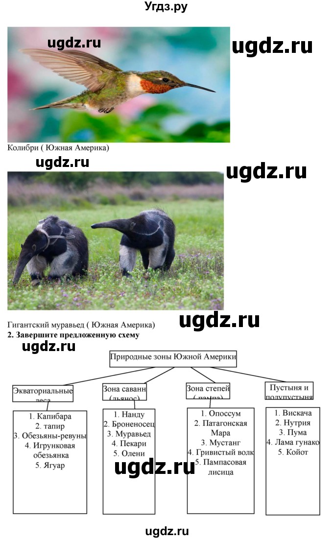 ГДЗ (Решебник) по географии 7 класс (рабочая тетрадь) Домогацких Е.М. / параграф номер / 39(продолжение 3)