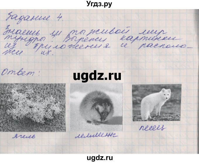 ГДЗ (Решебник) по окружающему миру 4 класс (рабочая тетрадь) Плешаков А.А. / часть 1. страница номер / 48(продолжение 2)