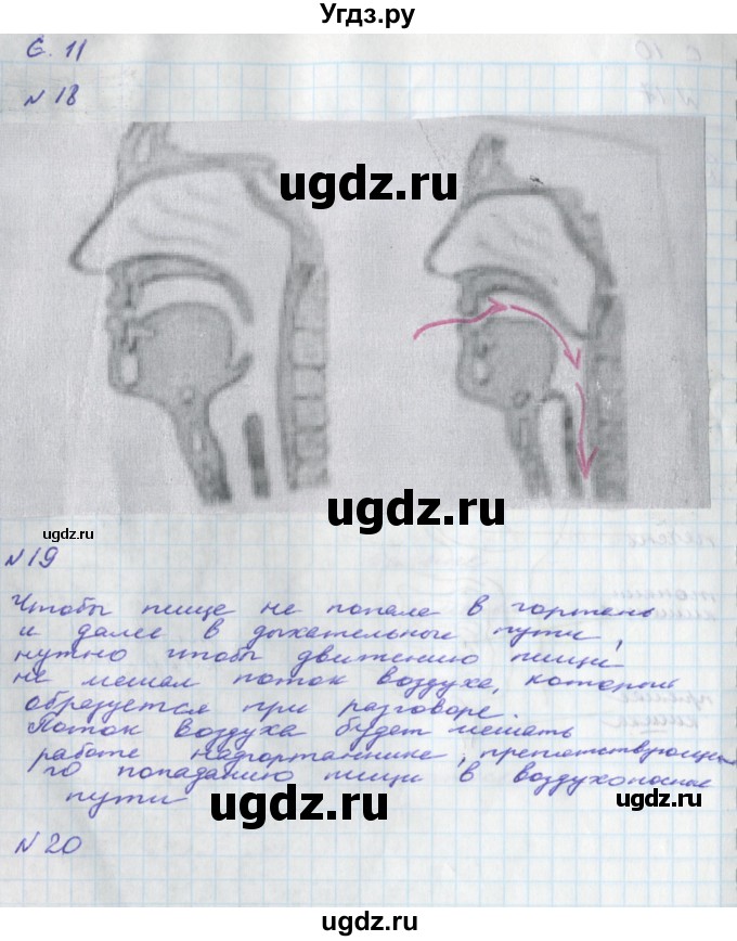 ГДЗ (Решебник) по окружающему миру 4 класс (тетрадь для самостоятельной работы) Федотова О.Н. / часть 2. страница номер / 11