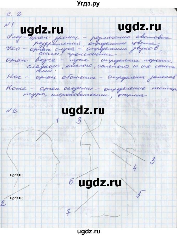 ГДЗ (Решебник) по окружающему миру 4 класс (тетрадь для самостоятельной работы) Федотова О.Н. / часть 2. страница номер / 2