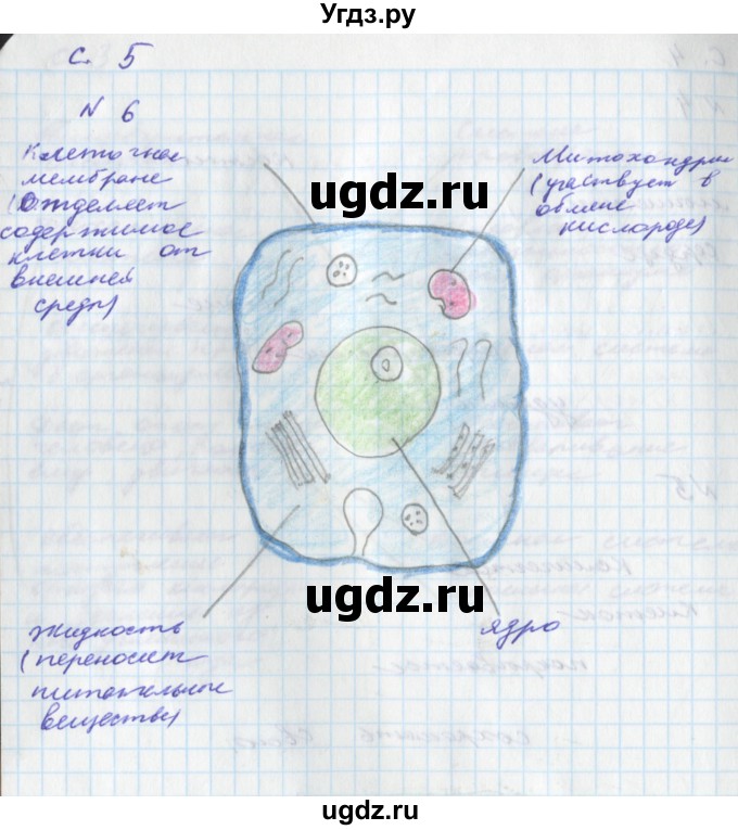 ГДЗ (Решебник) по окружающему миру 4 класс (тетрадь для самостоятельной работы) Федотова О.Н. / часть 2. страница номер / 5