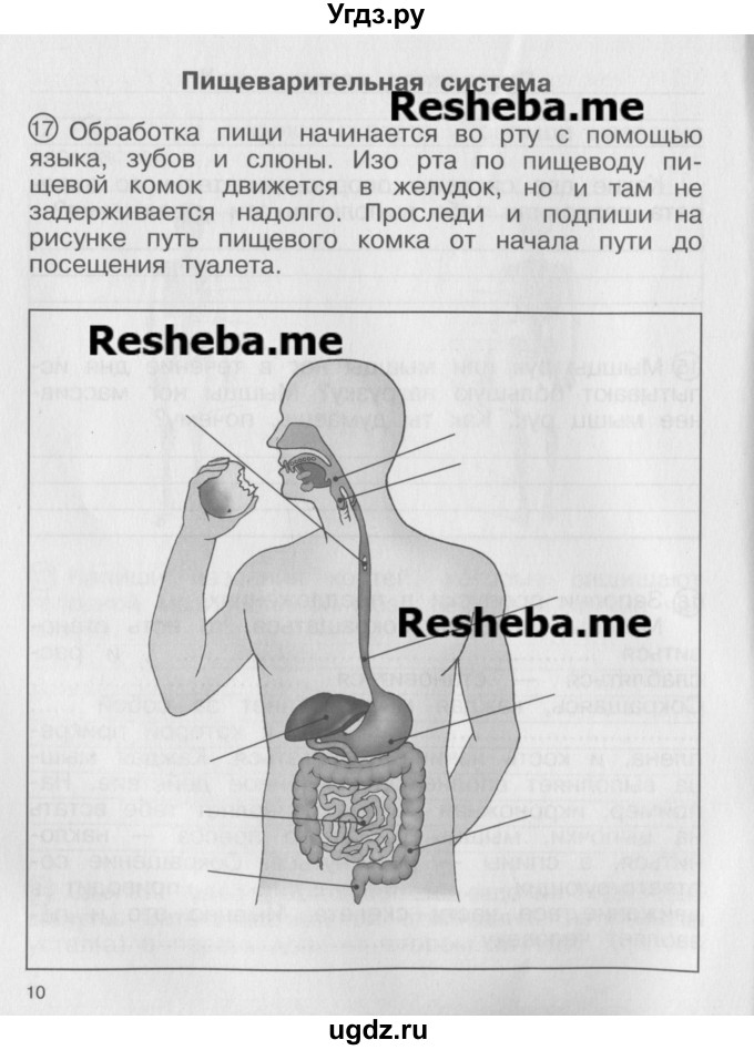 ГДЗ (Учебник) по окружающему миру 4 класс (тетрадь для самостоятельной работы) Федотова О.Н. / часть 2. страница номер / 10