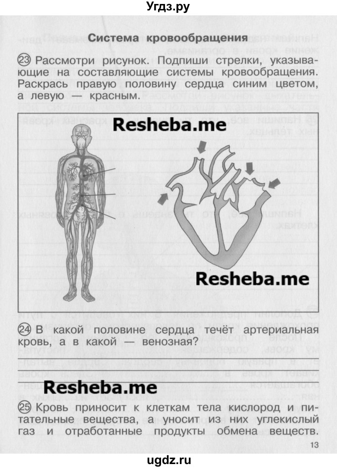 ГДЗ (Учебник) по окружающему миру 4 класс (тетрадь для самостоятельной работы) Федотова О.Н. / часть 2. страница номер / 13