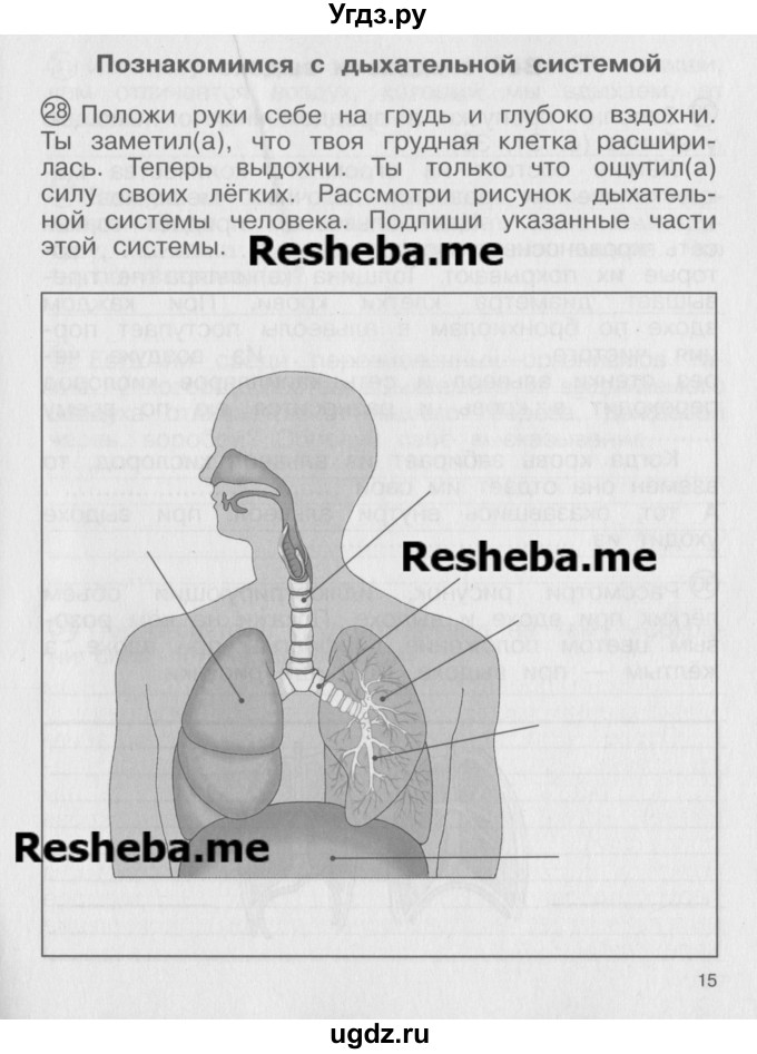 ГДЗ (Учебник) по окружающему миру 4 класс (тетрадь для самостоятельной работы) Федотова О.Н. / часть 2. страница номер / 15