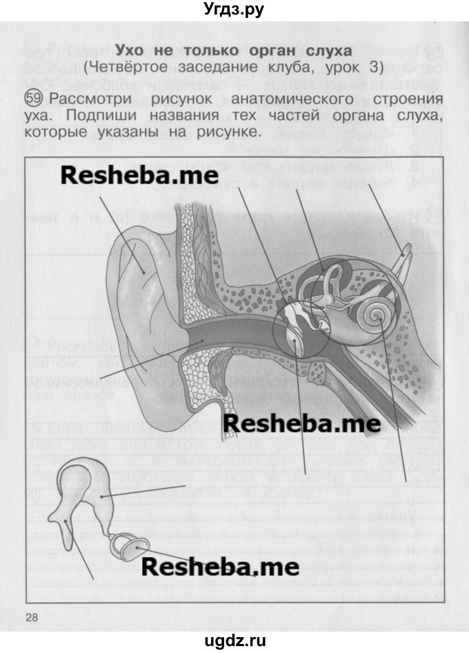 ГДЗ (Учебник) по окружающему миру 4 класс (тетрадь для самостоятельной работы) Федотова О.Н. / часть 2. страница номер / 28