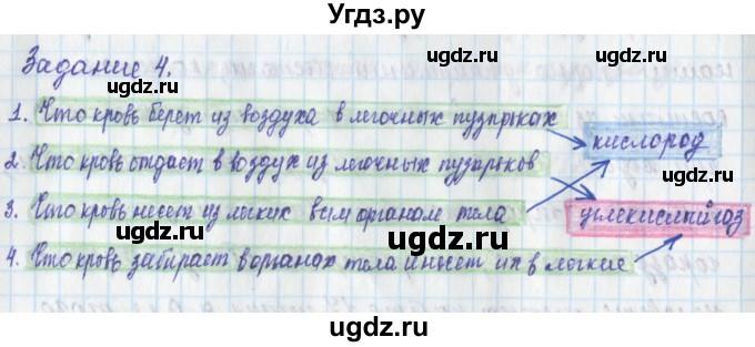 ГДЗ (Решебник) по окружающему миру 3 класс (рабочая тетрадь) Плешаков А.А. / часть 2. страница номер / 31