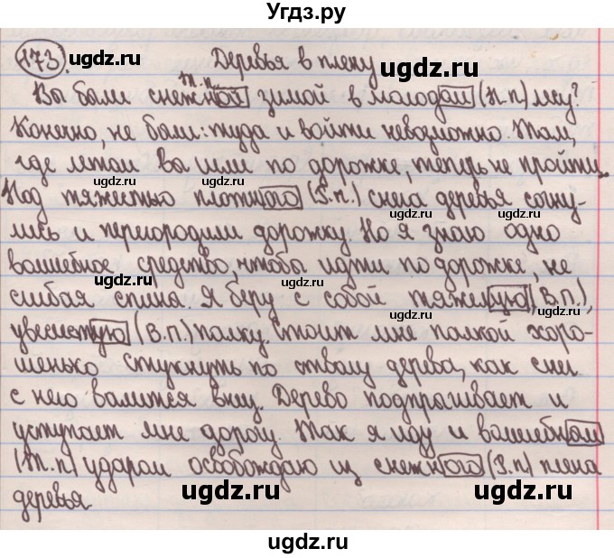 ГДЗ (Решебник) по русскому языку 4 класс Антипова М.Б. / часть 1 / упражнение-номер / 173