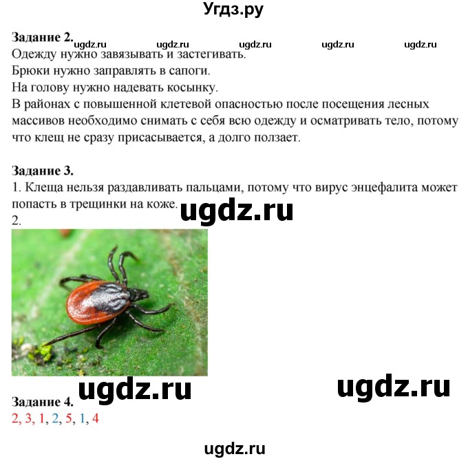 ГДЗ (Решебник) по обж 6 класс (рабочая тетрадь) Галкина М.В. / страница / 53