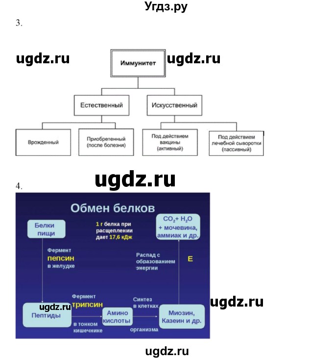 ГДЗ (Решебник) по химии 10 класс (рабочая тетрадь) Габриелян О.С. / страница-номер / 118