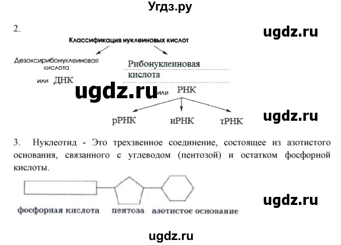 ГДЗ (Решебник) по химии 10 класс (рабочая тетрадь) Габриелян О.С. / страница-номер / 119(продолжение 2)