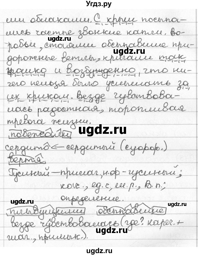 ГДЗ (Решебник) по русскому языку 8 класс Мурина Л.A. / упражнение номер / 173(продолжение 2)