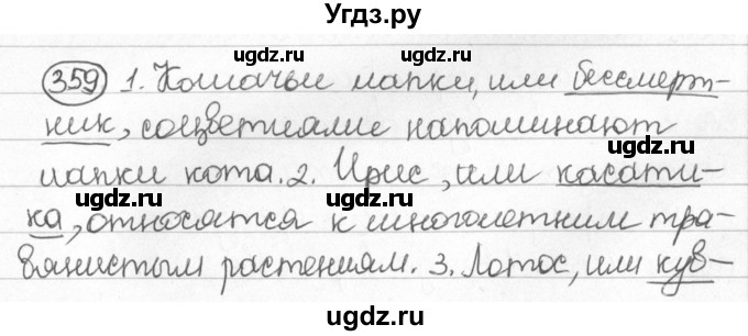 ГДЗ (Решебник) по русскому языку 8 класс Мурина Л.A. / упражнение номер / 359
