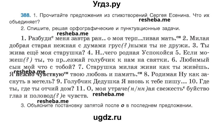 ГДЗ (Учебник) по русскому языку 8 класс Мурина Л.A. / упражнение номер / 388