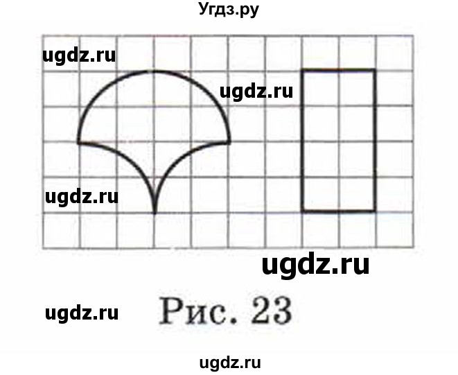 Параграф 12 6 класс