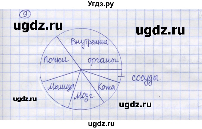 ГДЗ (Решебник) по математике 5 класс Козлов В.В. / глава 14 / параграф 2 / упражнение / 9