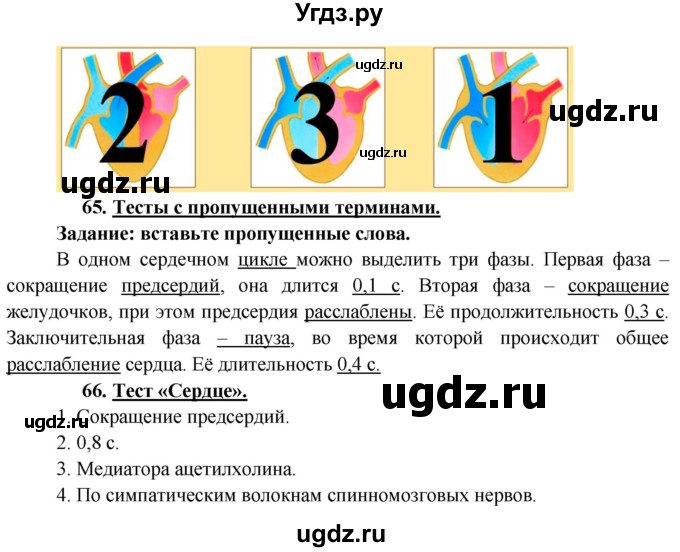 ГДЗ (Решебник к учебнику 2013) по биологии 8 класс Сонин Н.И. / страница / 153(продолжение 2)