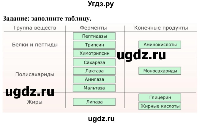 ГДЗ (Решебник к учебнику 2013) по биологии 8 класс Сонин Н.И. / страница / 174(продолжение 3)